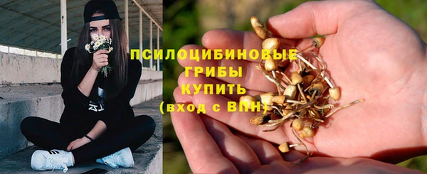 мяу мяу кристалл Армянск