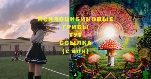 бошки Арсеньев