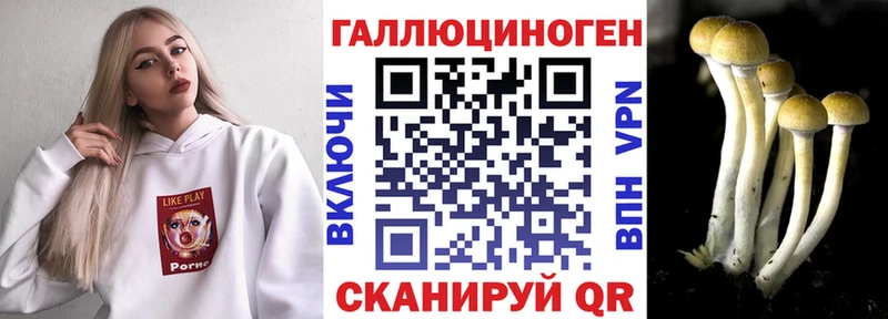 Псилоцибиновые грибы Psilocybine cubensis  Балей 